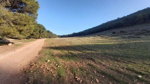 Terreno en Humilladero