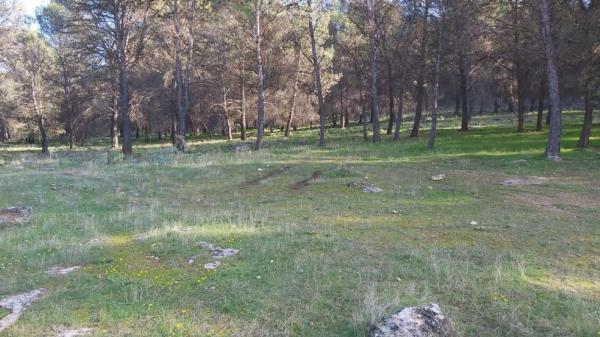 Terreno en Humilladero