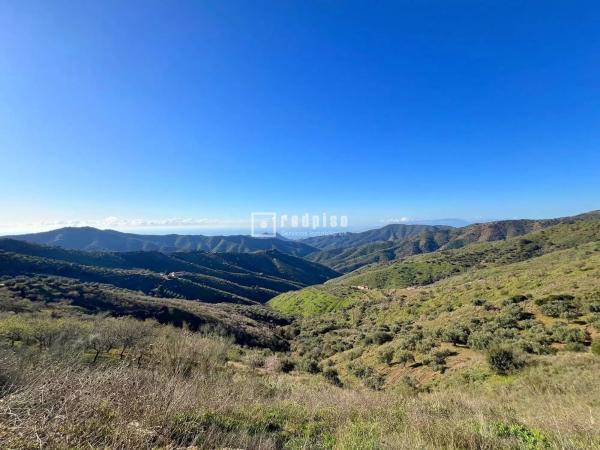 Terreno en camino Lagar Brun Bajo