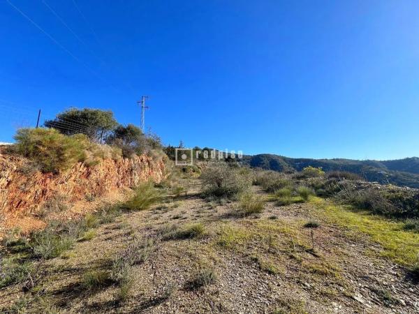 Terreno en camino Lagar Brun Bajo