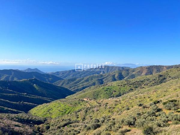 Terreno en camino Lagar Brun Bajo