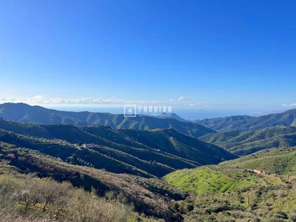Terreno en camino Lagar Brun Bajo