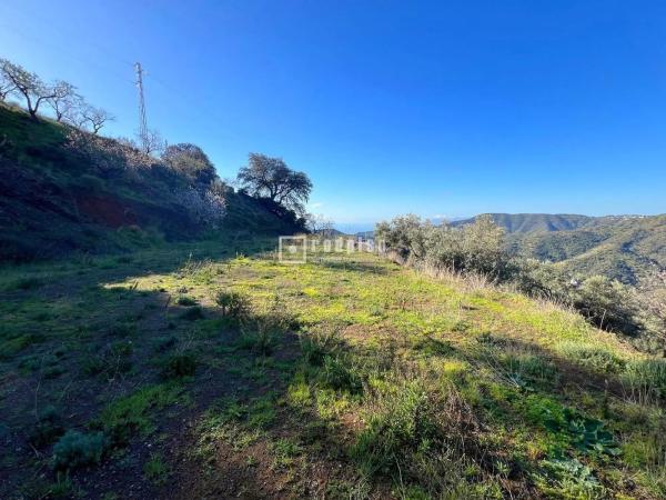 Terreno en camino Lagar Brun Bajo