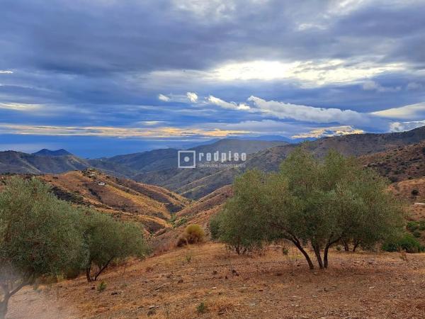Terreno en camino Lagar Brun Bajo