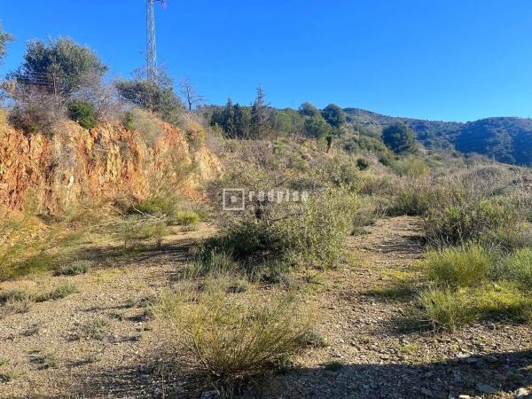 Terreno en camino Lagar Brun Bajo