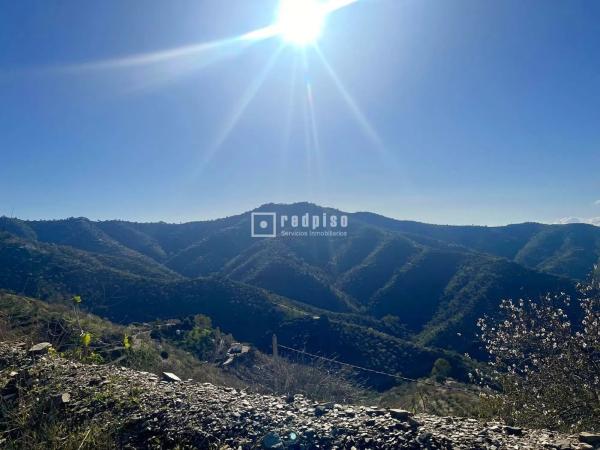 Terreno en camino Lagar Brun Bajo