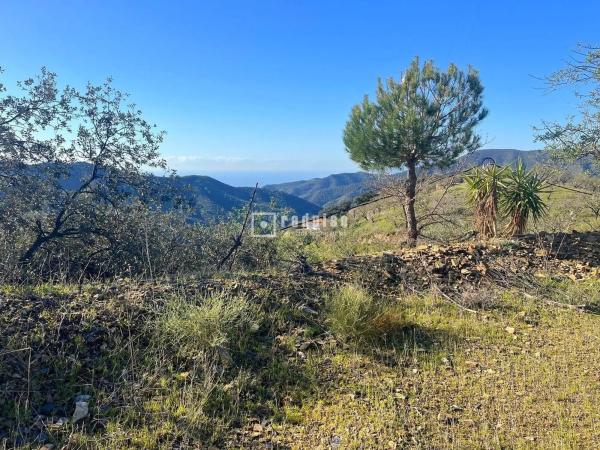 Terreno en camino Lagar Brun Bajo