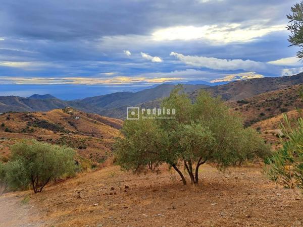 Terreno en camino Lagar Brun Bajo