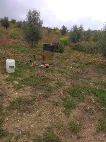 Terreno en Arroyo del Boso s/n