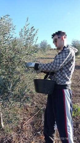 Terreno en Arroyo del Boso s/n