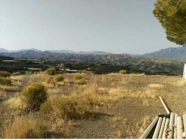 Terreno en calle Miguel de Cervantes, km 5