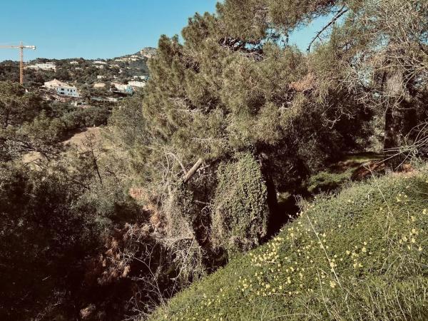 Terreno en Montemayor-Marbella Club