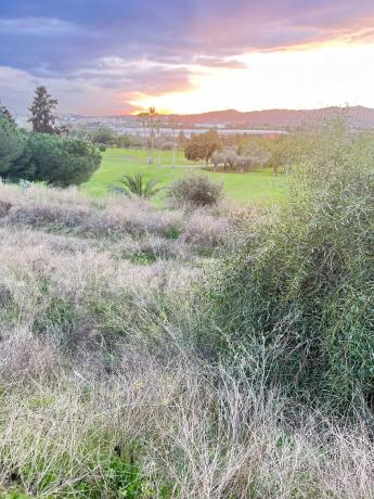 Terreno en Caleta de Velez