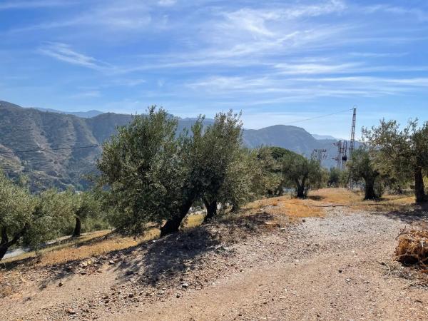 Terreno en Zona Los Castillejos s/n