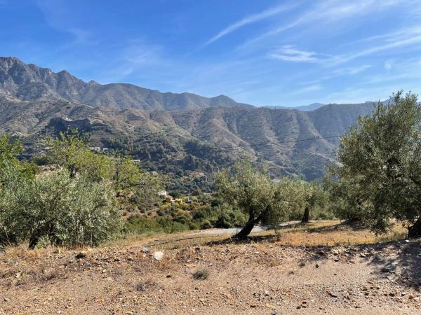 Terreno en Zona Los Castillejos s/n