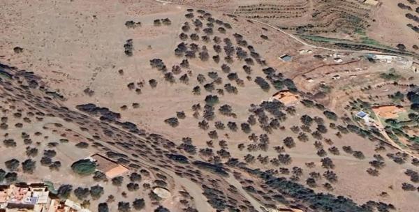 Terreno en Chaparil - Torrecilla - Punta Lara