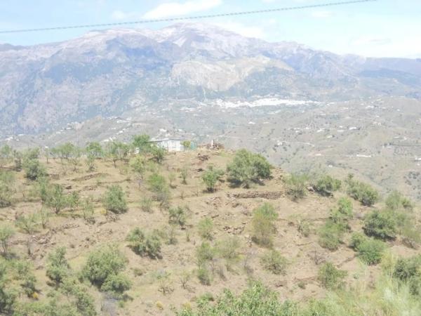 Terreno en Barriada Aldea Alta