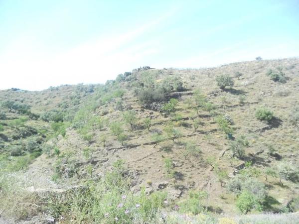 Terreno en Barriada Aldea Alta