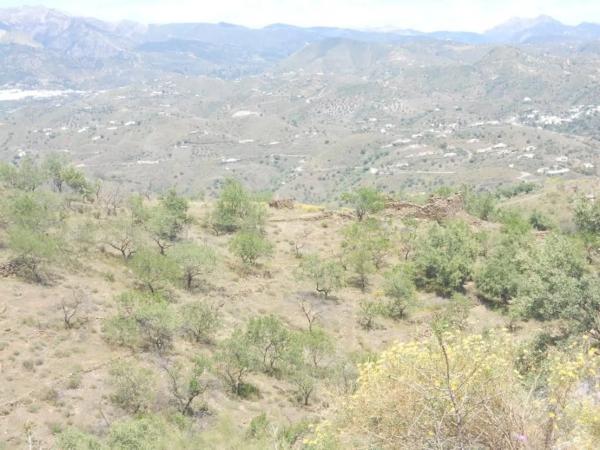 Terreno en Barriada Aldea Alta