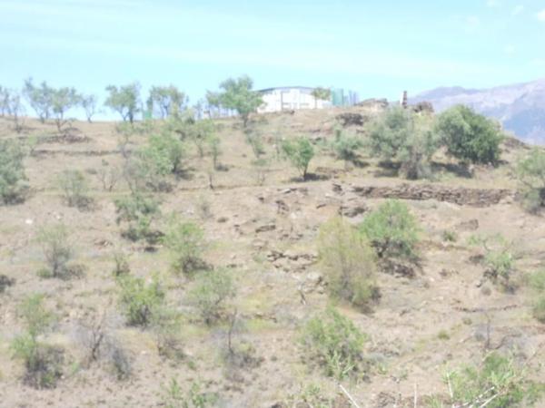 Terreno en Barriada Aldea Alta