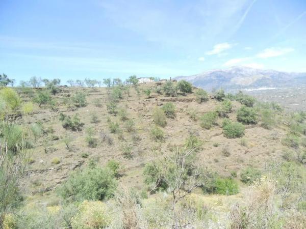 Terreno en Barriada Aldea Alta