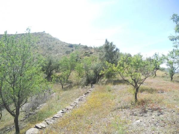 Terreno en Barriada Aldea Alta