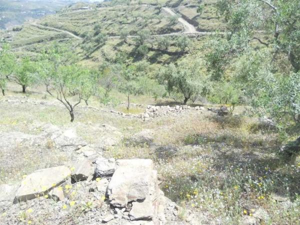 Terreno en Barriada Aldea Alta