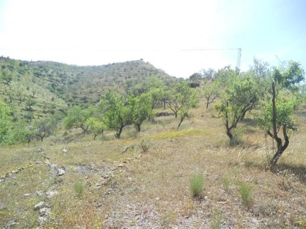 Terreno en Barriada Aldea Alta