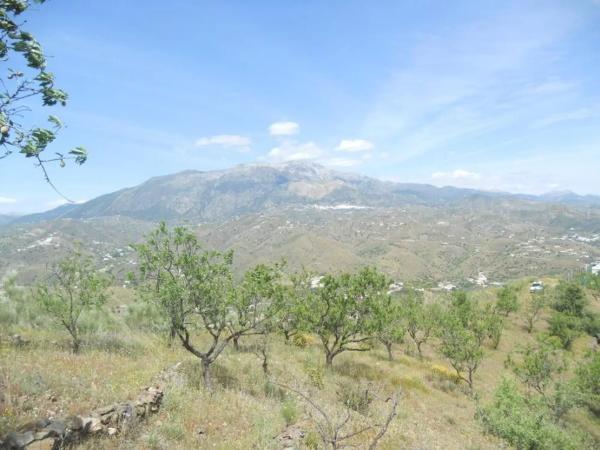 Terreno en Barriada Aldea Alta