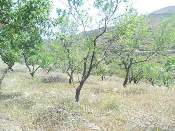 Terreno en Barriada Aldea Alta