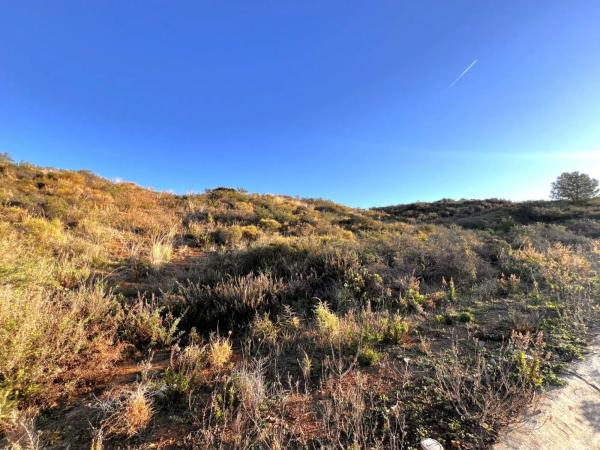 Terreno en calle Campo Europa de Cala Golf