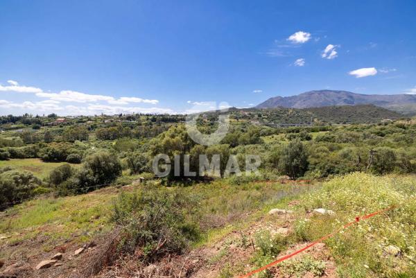 Terreno en calle del Alcornoque