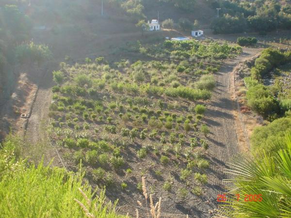 Terreno en Altos de Estepona