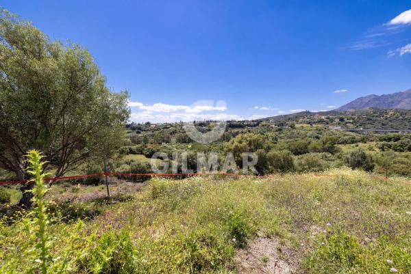 Terreno en calle del Alcornoque