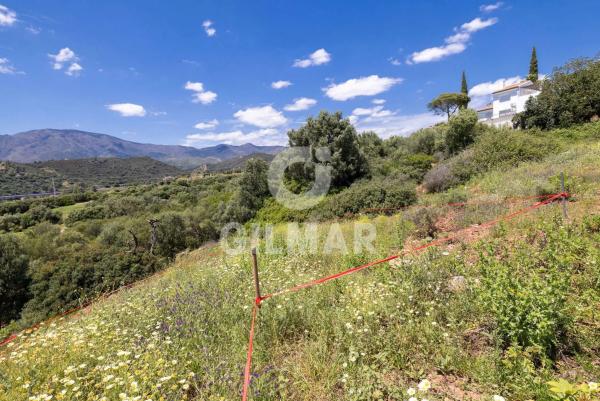 Terreno en calle del Alcornoque