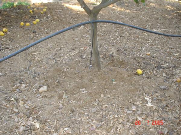 Terreno en Altos de Estepona