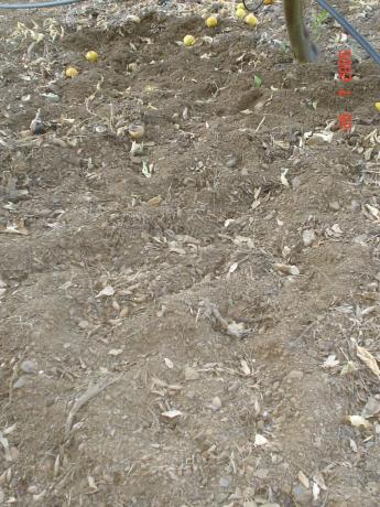 Terreno en Altos de Estepona