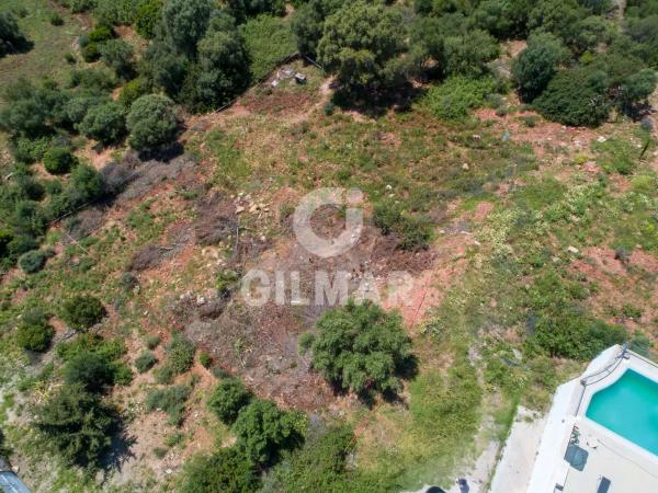 Terreno en calle del Alcornoque