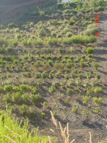 Terreno en Altos de Estepona