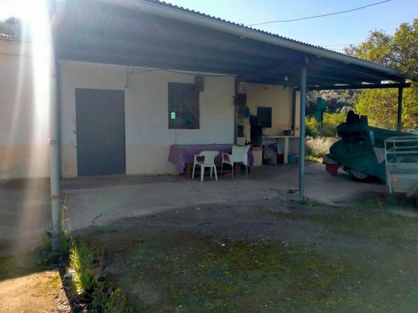 Terreno en partido arroyo de los olivos, 1