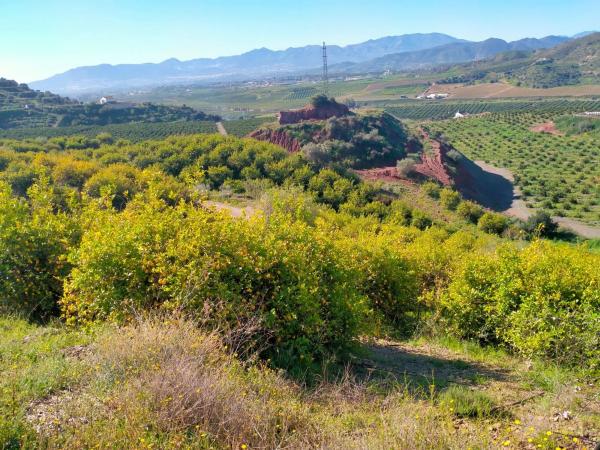 Terreno en partido arroyo de los olivos, 1
