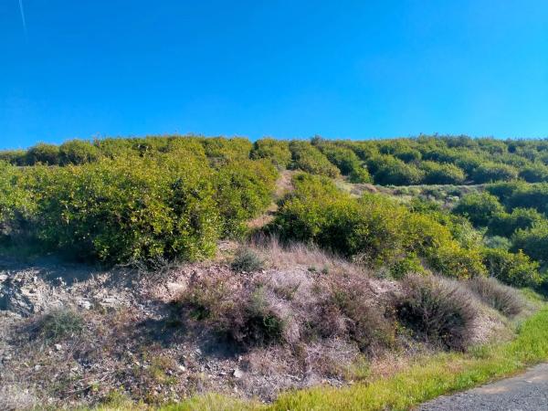 Terreno en partido arroyo de los olivos, 1