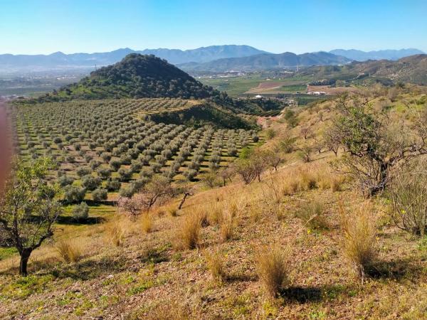 Terreno en partido arroyo de los olivos, 1