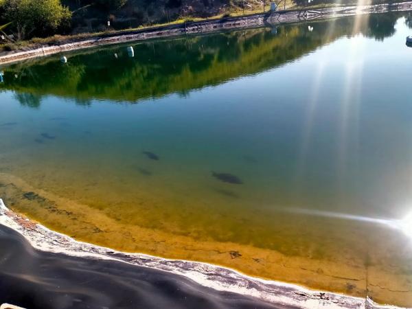 Terreno en partido arroyo de los olivos, 1