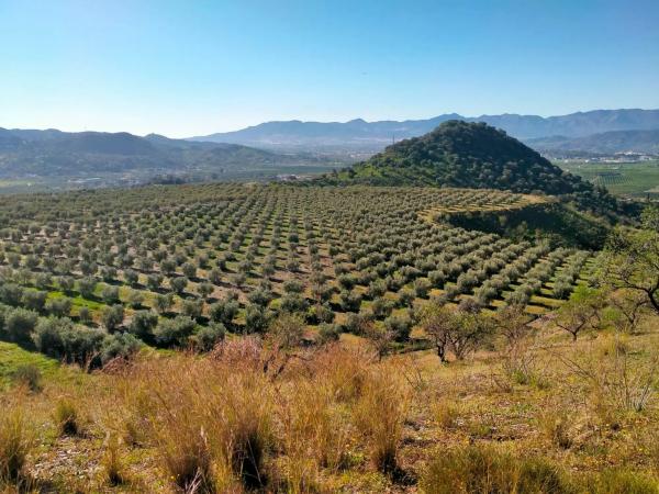 Terreno en partido arroyo de los olivos, 1