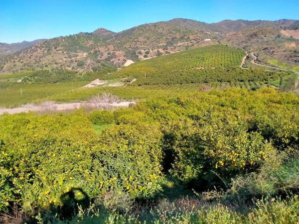 Terreno en partido arroyo de los olivos, 1