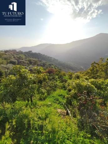 Terreno en Urbanización Santa Rosa