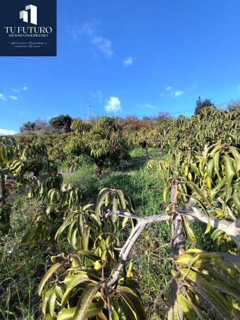 Terreno en Urbanización Santa Rosa