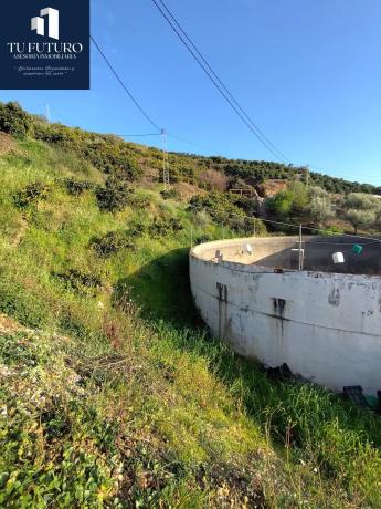 Terreno en Urbanización Santa Rosa