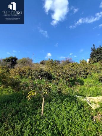 Terreno en Urbanización Santa Rosa